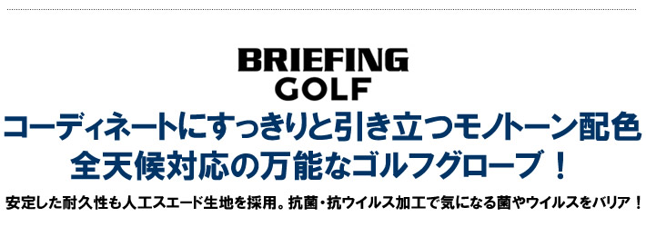 BRIEFING GOLF(ブリーフィングゴルフ)グローブ