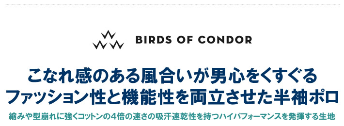 BIRDS OF CONDOR（バーズオブコンドル）ポロシャツ