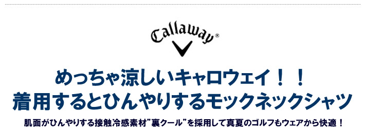 Callaway apparel(キャロウェイアパレル）カットソー