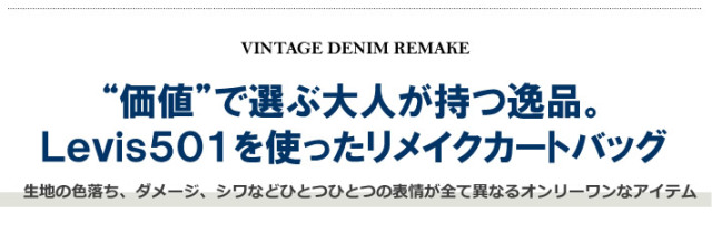 ZEROZONE（セロゾーン）カートバッグ