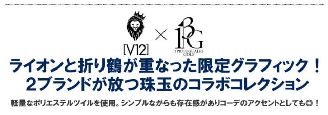 V12（ヴィトゥエルブ）キャップ